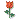 Emrose